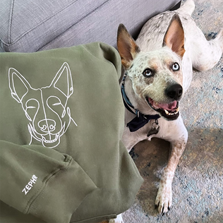 Custom Embroidered Pet Sweatshirt